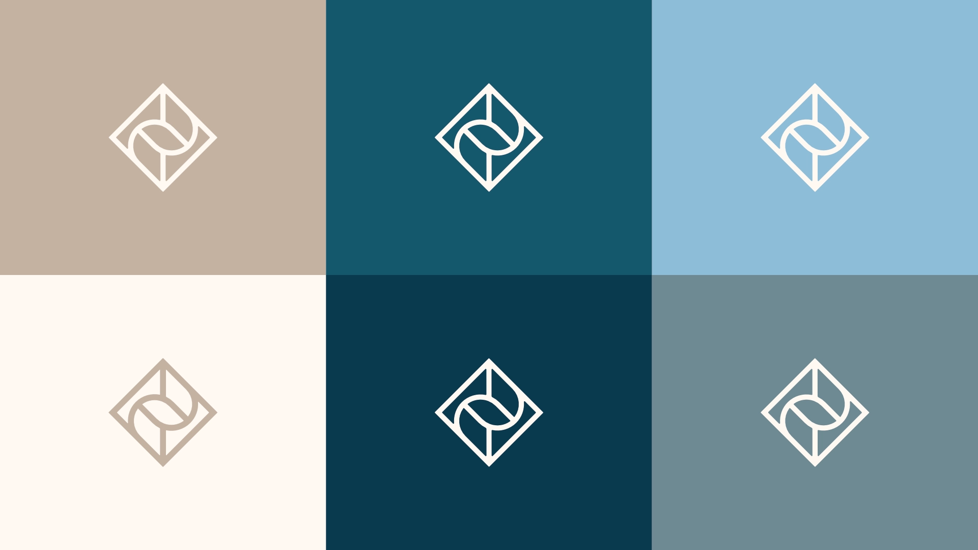 Colour Palette Visual