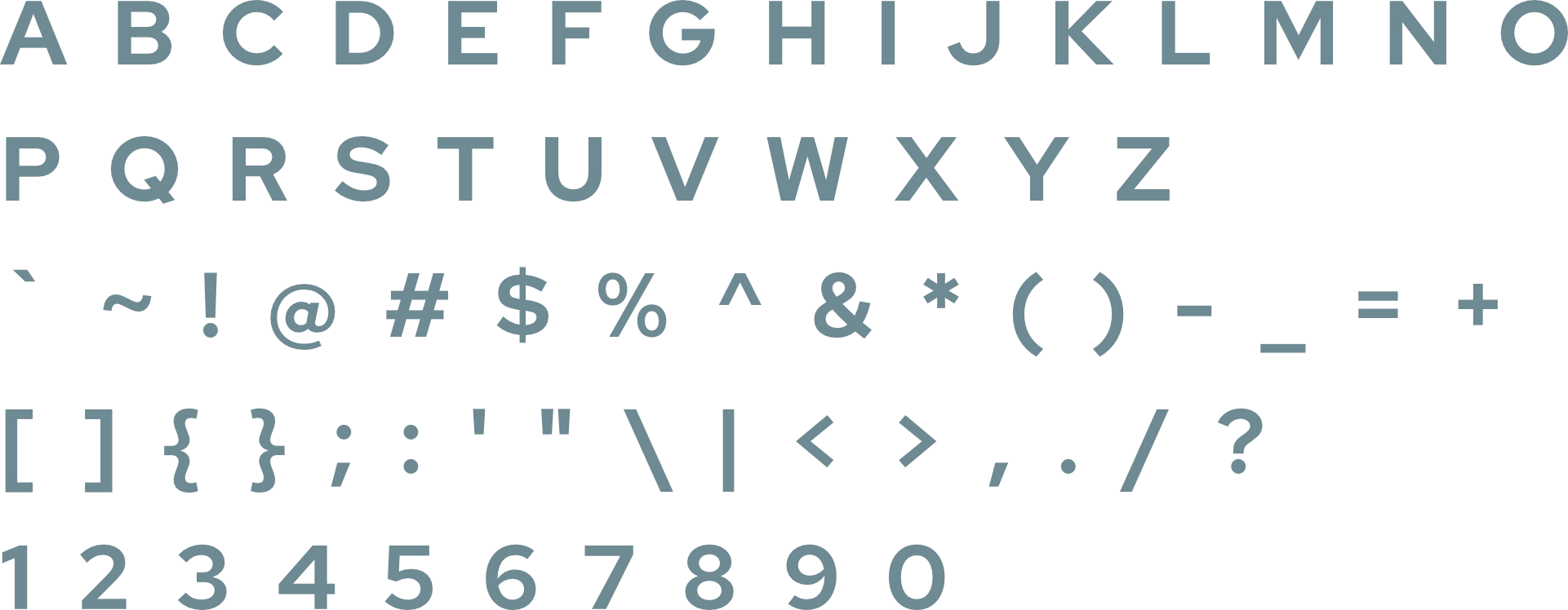 rapulana-attorneys - Primary Typeface
